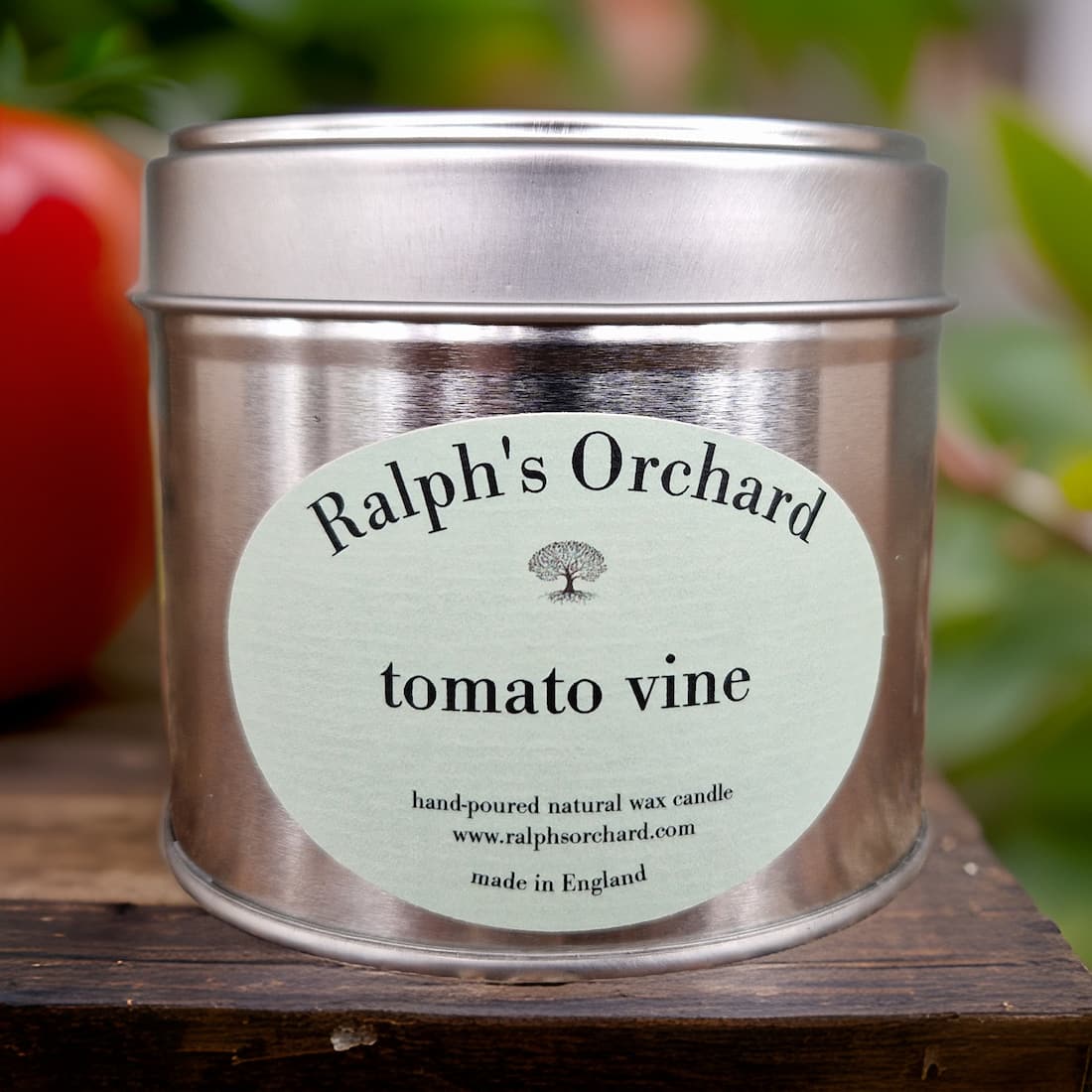 Tomato Vine