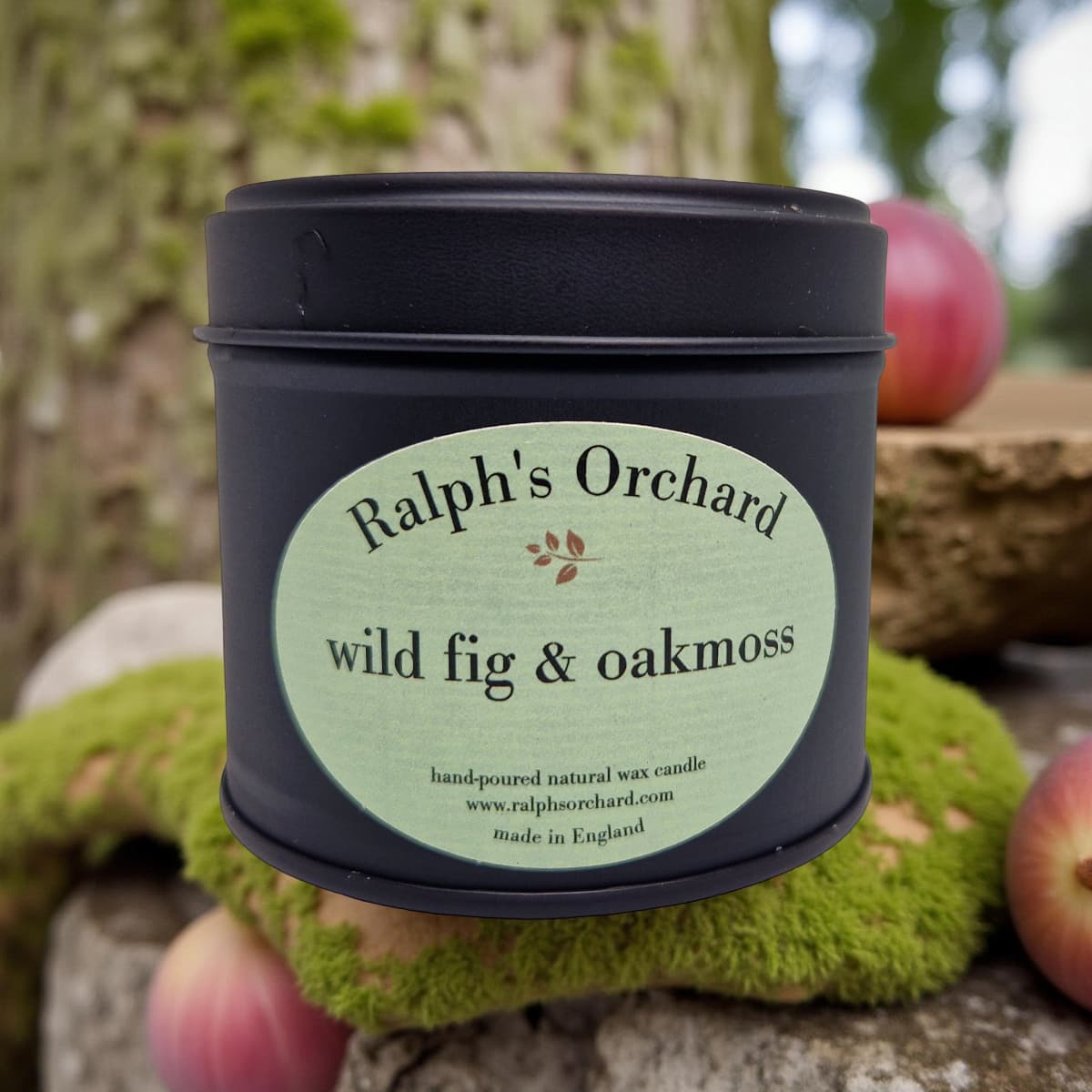 Wild Fig & Oakmoss-1